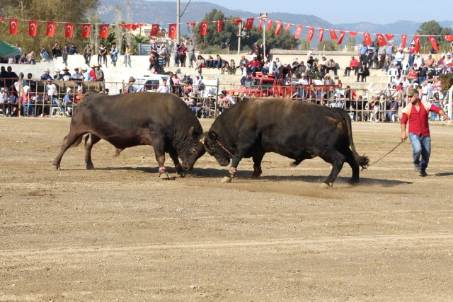 Germencik Arenası Türkiye Şampiyonası’na Ev Sahipliği Yaptı