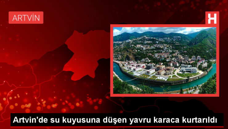 Arhavi’de mahsur kalan yavru karaca kurtarıldı
