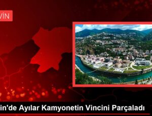 Artvin’de Ayılar Kamyonetin Vincini Parçaladı