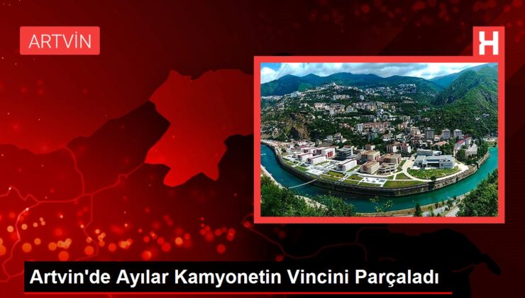 Artvin’de Ayılar Kamyonetin Vincini Parçaladı