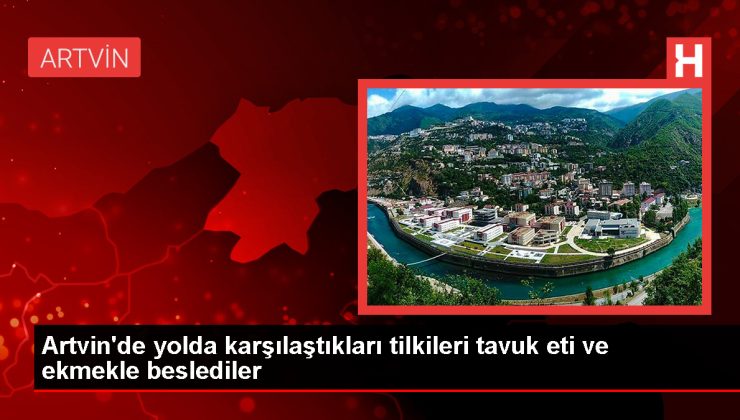 Artvin’de kayak merkezinden dönen 4 arkadaş, yolda karşılaştıkları 2 tilkiyi, tavuk eti ve ekmekle besledi