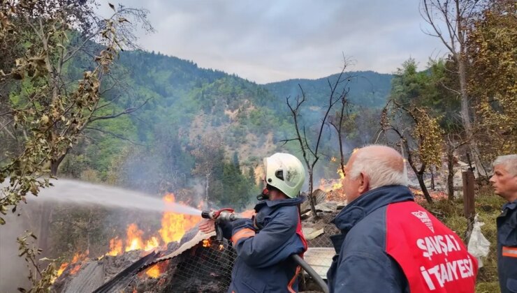 Artvin Şavşat’ta çıkan yangında 3 konut, 3 ahır ve 3 samanlık ziyan gördü
