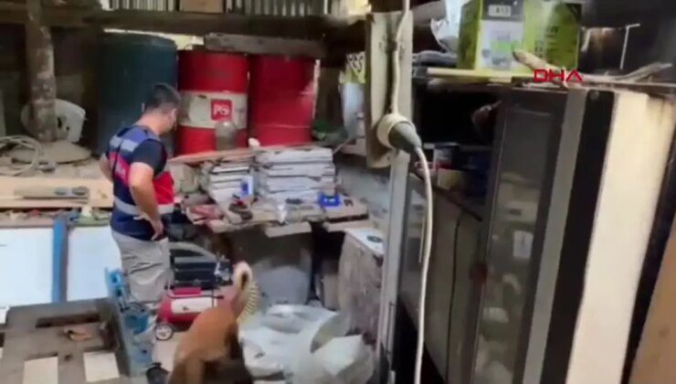 Artvin’de 502 Kilogram Esrar Ele Geçirildi, Baba ve Oğlu Tutuklandı