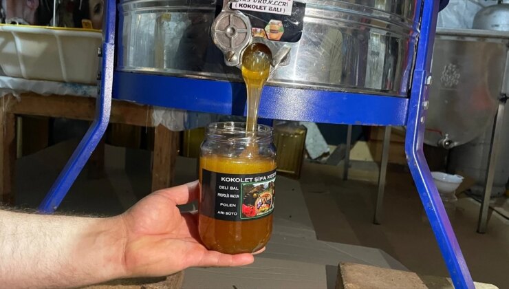 Artvin’in Murgul ilçesinde kestane balının birinci sağımı gerçekleştirildi