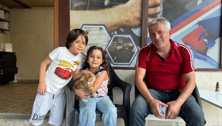 Esnaf, köpeklerin saldırısından kurtardığı kedi yavrusunu sahiplendi