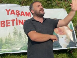 Artvin’de Ağaç Kısmı Protestolarında Gözaltılar ve Özgür Bırakılmalar