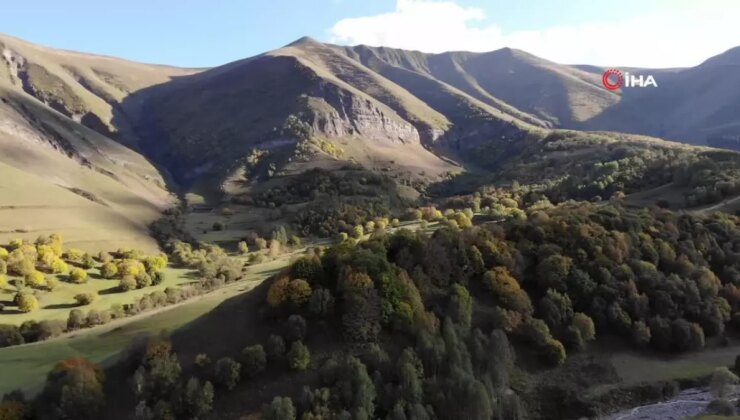Artvin’in Zekerya Köyü’nde Sonbahar Erken Başlıyor