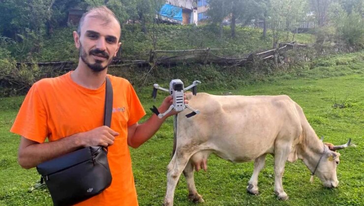 Drone ile İneklerini Getiren Gençten Değişik Prosedür