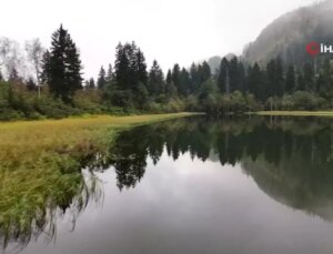 Murgul Karagöl Sonbahar Öncesi Yeşil Pozunu Verdi