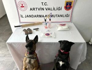 Artvin’de Jandarma Operasyonu: Uyuşturucu ve Silah Ele Geçirildi