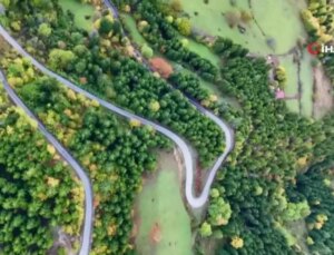 Artvin’de Sonbahar Görünümleri Masal Üzere