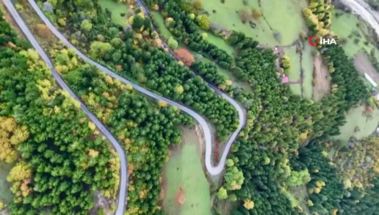 Artvin’de Sonbahar Görünümleri Masal Üzere