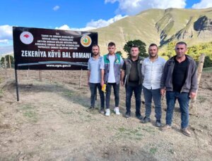 Artvin’in Zekeriya Köyünde Kıymetli Bal Üretimi Artıyor