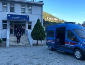 Borçka’da Müsaadesiz Orman Kesimi: Kooperatif Başkanı Gözaltına Alındı
