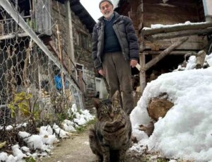 Ahmet Şahin Karla Uğraş Ederek Kedilerini Besliyor