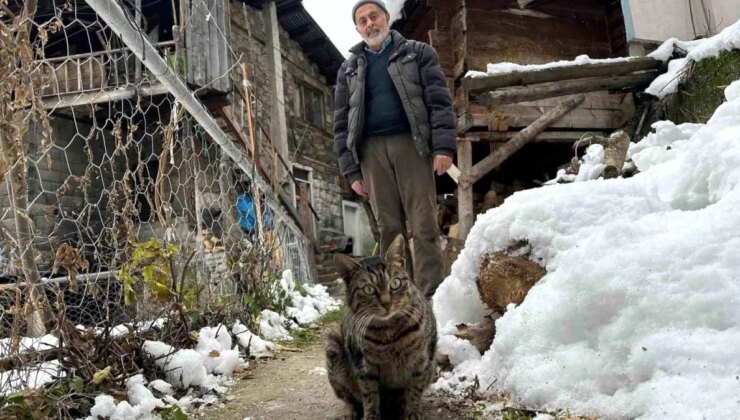 Ahmet Şahin Karla Uğraş Ederek Kedilerini Besliyor