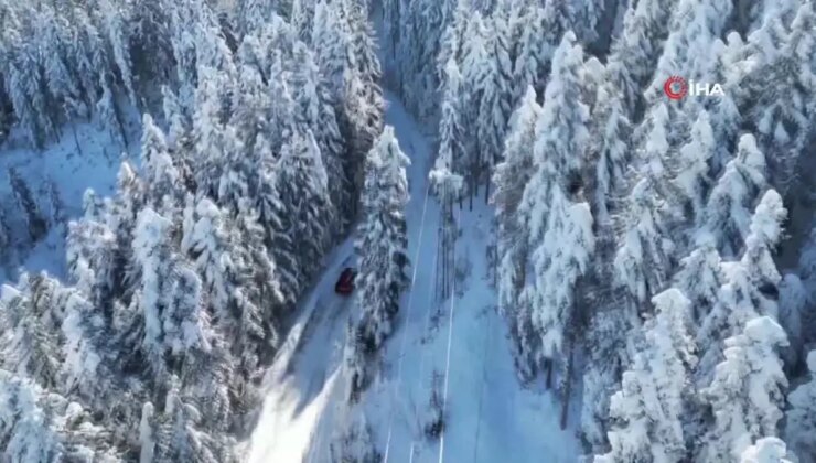 Artvin’in Genya Dağı’nda Kışın Büyüleyici Hoşlukları