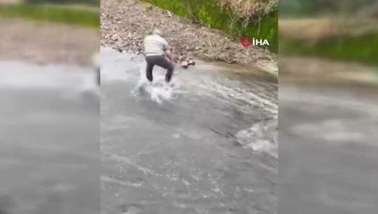 Fırtınadan Kaçan Somonları Eliyle Yakaladı
