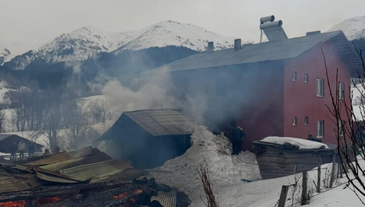 Artvin’de yangın: 1 konut, 2 ahır ve 1 ambar küle döndü