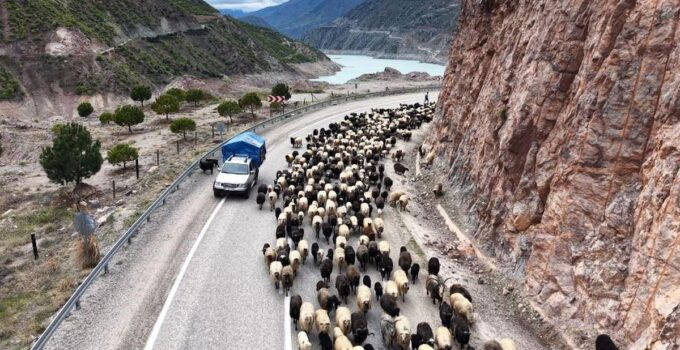 Yayla yolunda güçlü göçler başladı