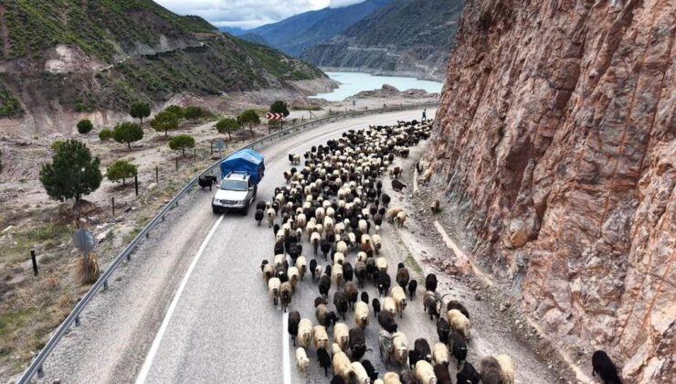 Yayla yolunda güçlü göçler başladı