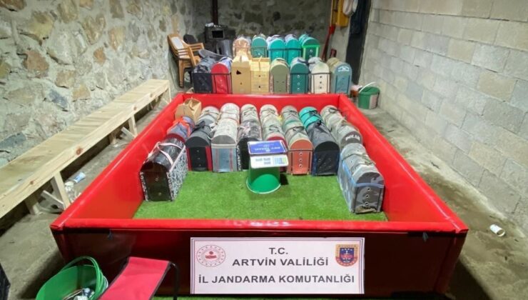 Artvin’de ‘horoz dövüşü’ operasyonu; 39 bireye toplam 508 bin 248 TL ceza