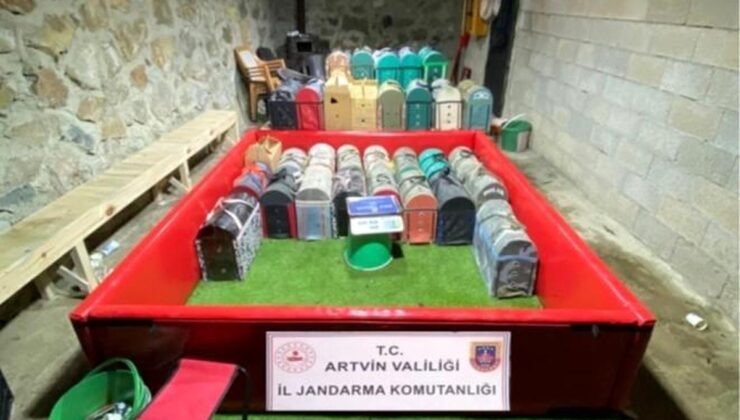 Artvin’de horoz dövüşüne jandarma baskını: 39 bireye toplam 500 bin lira ceza