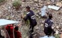 Artvin’de kayalıklarda mahsur kalan oğlak kurtarıldı