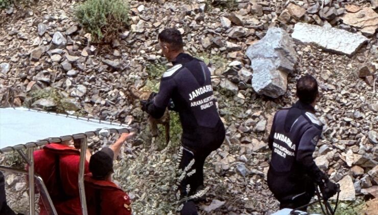 Artvin’de kayalıklarda mahsur kalan oğlak kurtarıldı