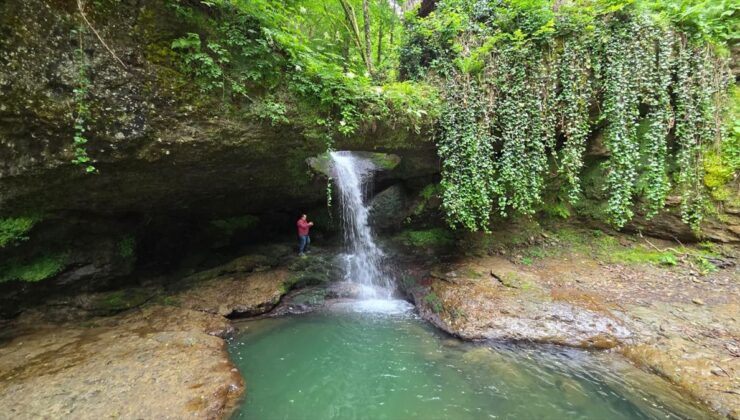 Artvin’in “Ormanın Yüzüğü” olarak isimlendirilen şelalesi ziyaretçilerini ağırlıyor
