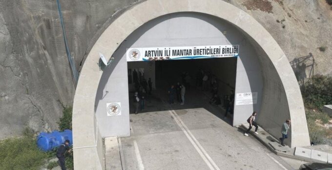 Tünelde üretilen istiridye mantarının birinci hasadı gerçekleştirildi
