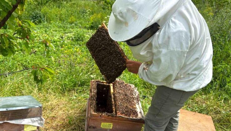 Artvin’de bal hasat dönemi öncesi üreticilerle buluşma