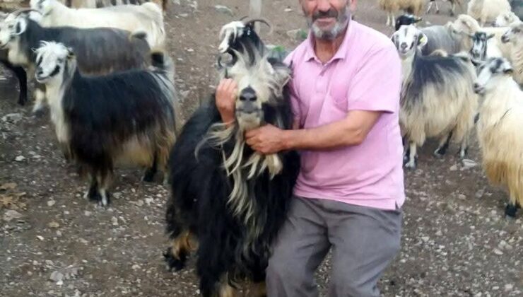 Şavşat Deresi’nde kaybolan babanın cansız vücuduna ulaşıldı