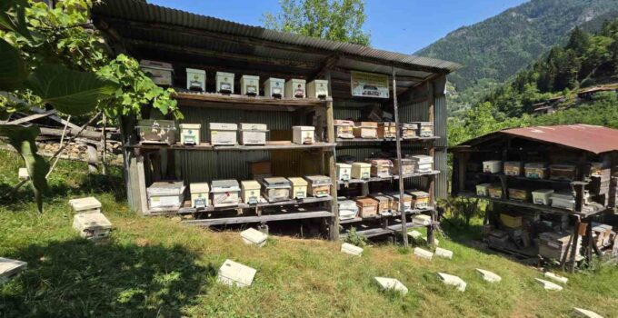 Macahel’de 2026 Bal Hasat Dönemi Merasimle Açıldı