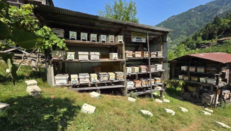 Macahel’de 2026 Bal Hasat Dönemi Merasimle Açıldı
